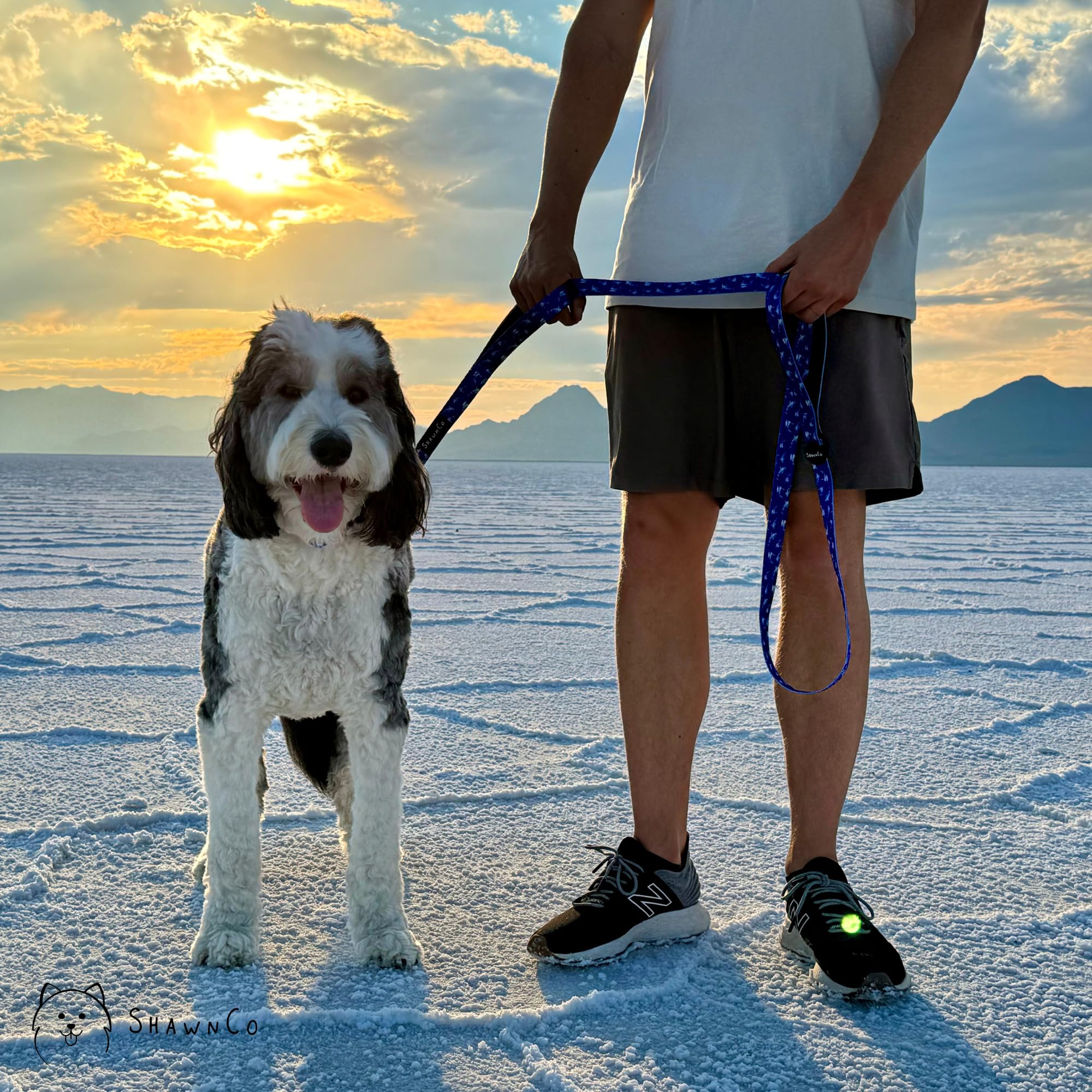 ShawnCo Dream Walk: longitud de seis pies, ideal para paseos diarios con tu perro.