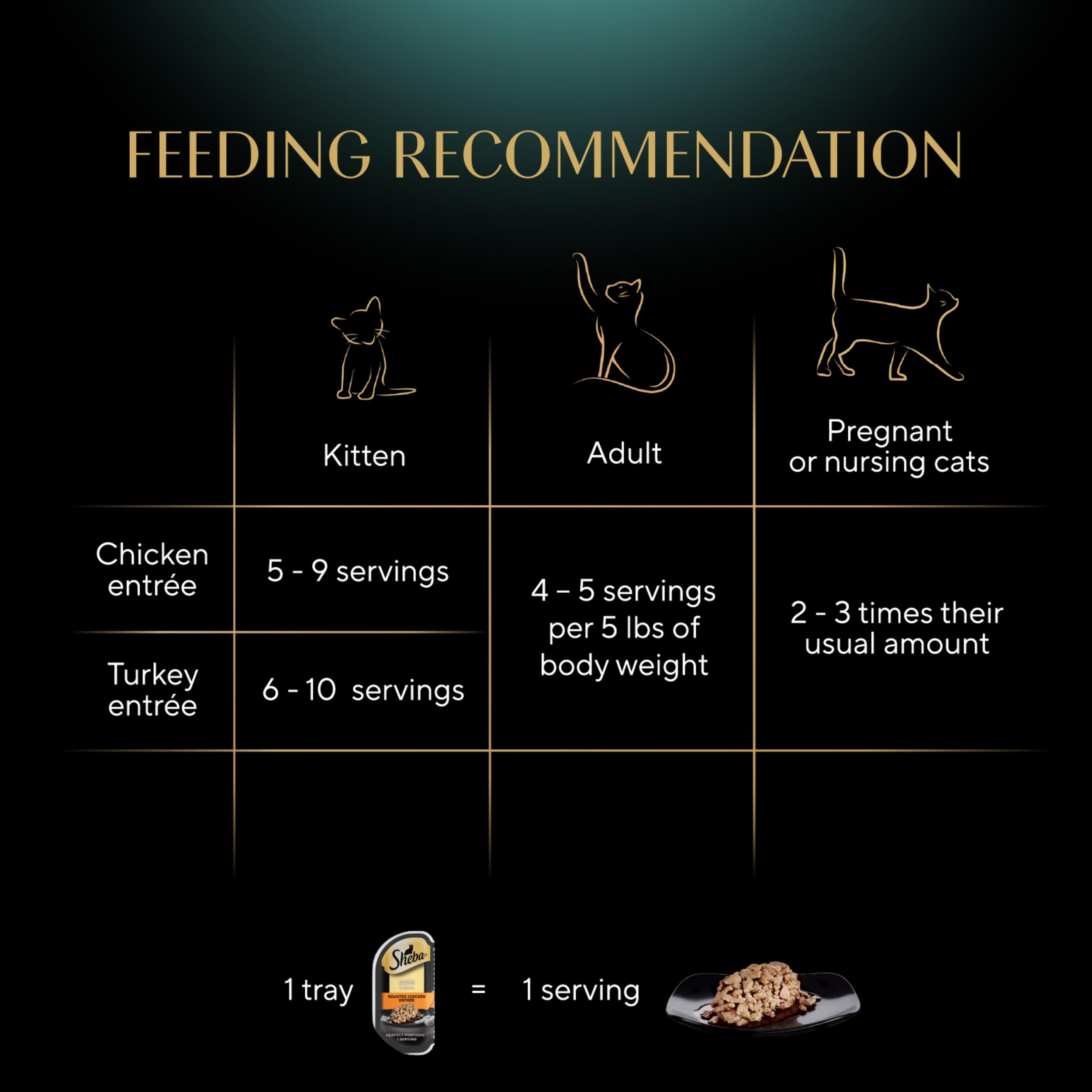 Sin sabores artificiales para gatos exigentes de Sheba