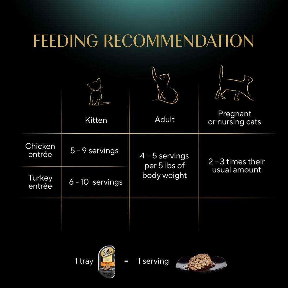 Sin sabores artificiales para gatos exigentes de Sheba