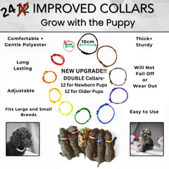 Collares para cachorros de Sheffield SS Shop, 12 piezas para identificar cada cachorro.