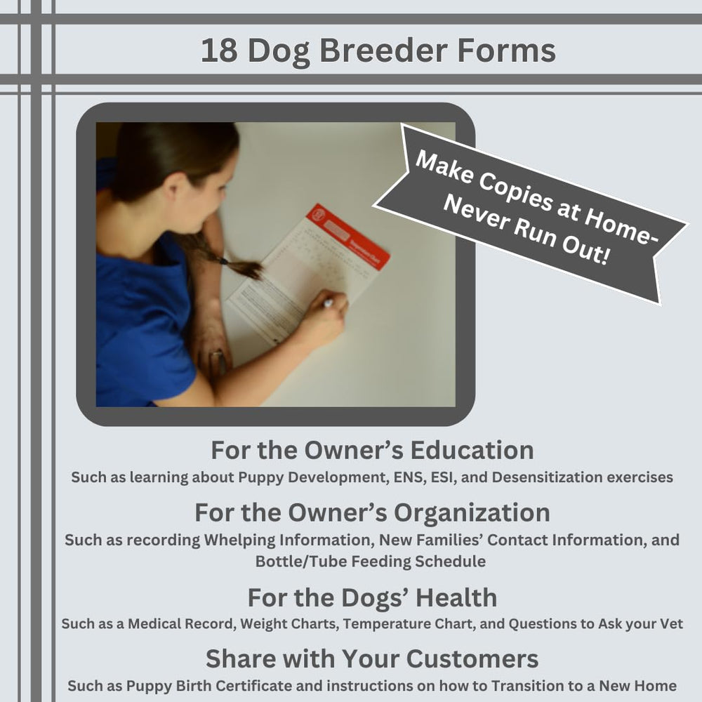 SHEFFIELD SS SHOP ejercicios-clave-desarrollo-cachorros guía de primeros entrenos.