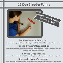 SHEFFIELD SS SHOP ejercicios-clave-desarrollo-cachorros guía de primeros entrenos.
