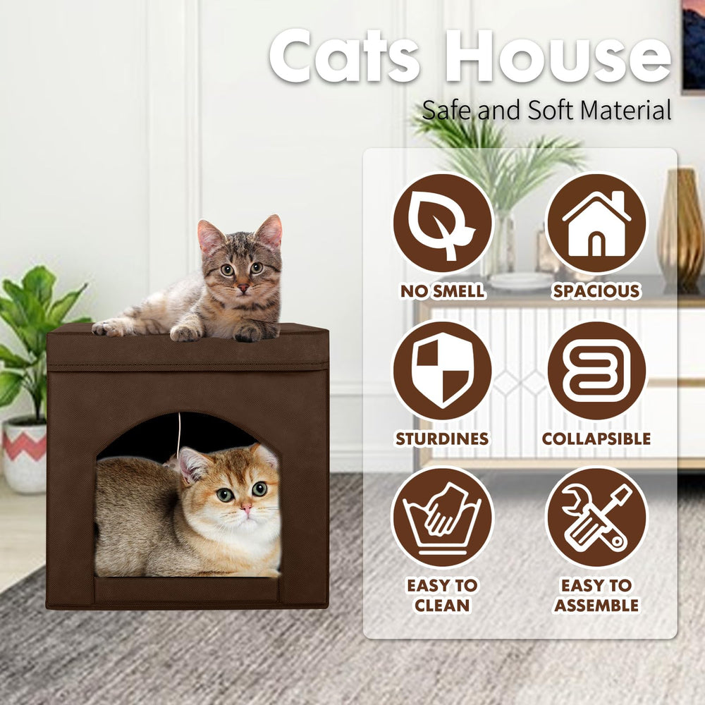 ShellKingdom: cama para gatos colorida con cuatro colores disponibles