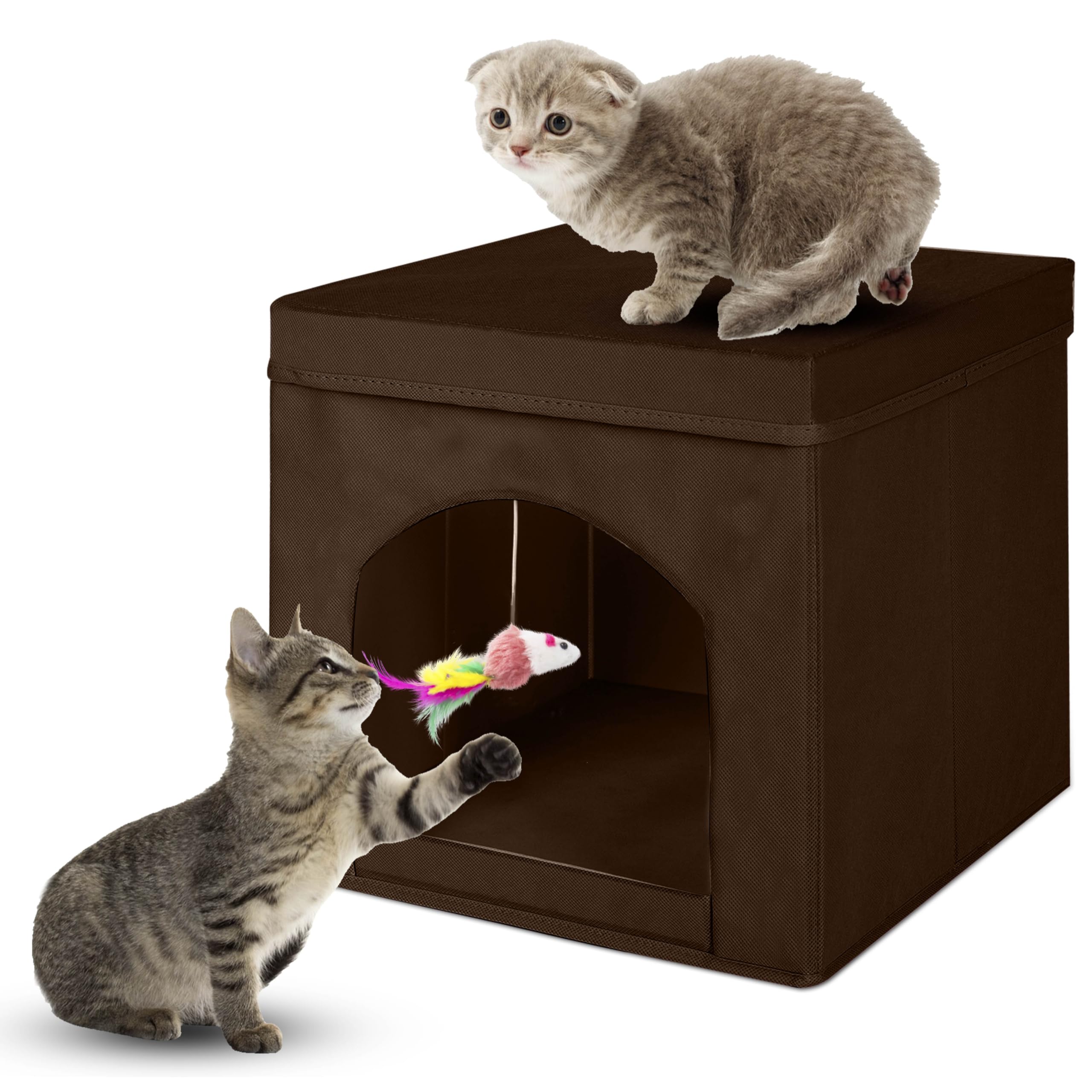 ShellKingdom: casa para gatos plegable, refugio cómodo para descansar y jugar