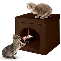 ShellKingdom: casa para gatos plegable, refugio cómodo para descansar y jugar
