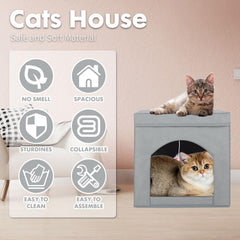 ShellKingdom hendiduras juego gato, exploración y escondite
