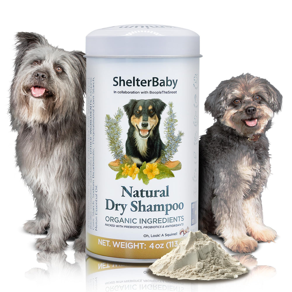 ShelterBaby Polvo Seco para Perros, aplicación sin enjuague para pelaje fresco.