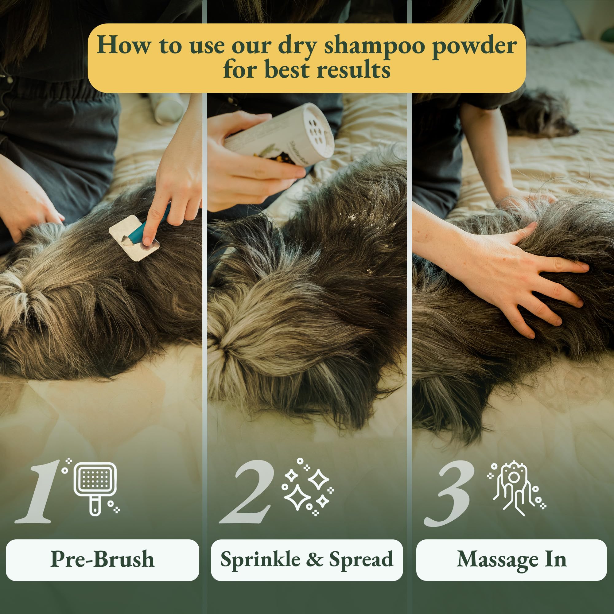 ShelterBaby Polvo Seco para Perros, hecho en Norteamérica con ingredientes de calidad.