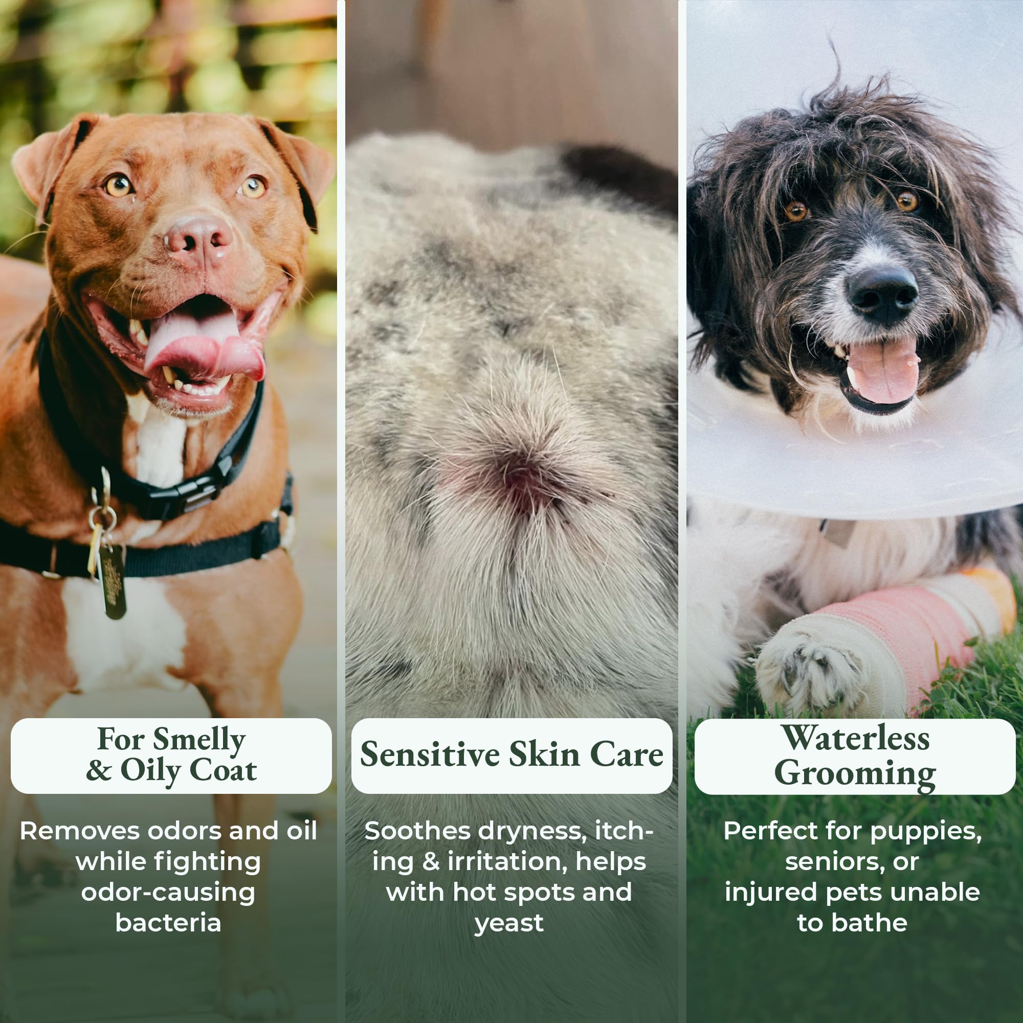 ShelterBaby Polvo Seco para Perros, fragancia suave durante la aplicación.