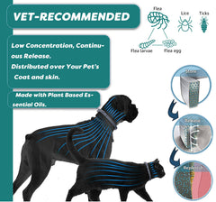 Collar ShengKou para gatos, resistente al agua para uso diario.