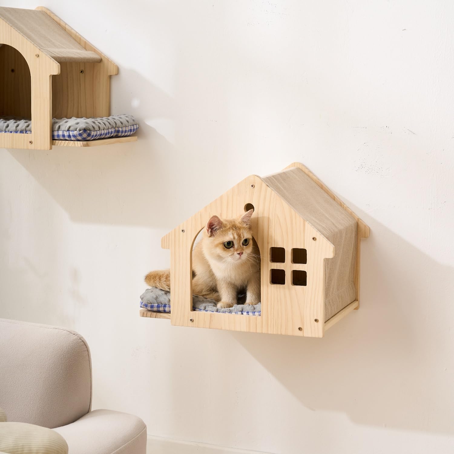SHENGOCASE cama de pared para gato, descanso cómodo y compacto.
