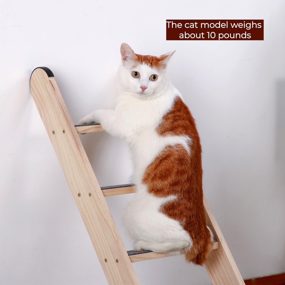 SHENGOCASE escalera de gato, ensamble sencillo para montaje rápido