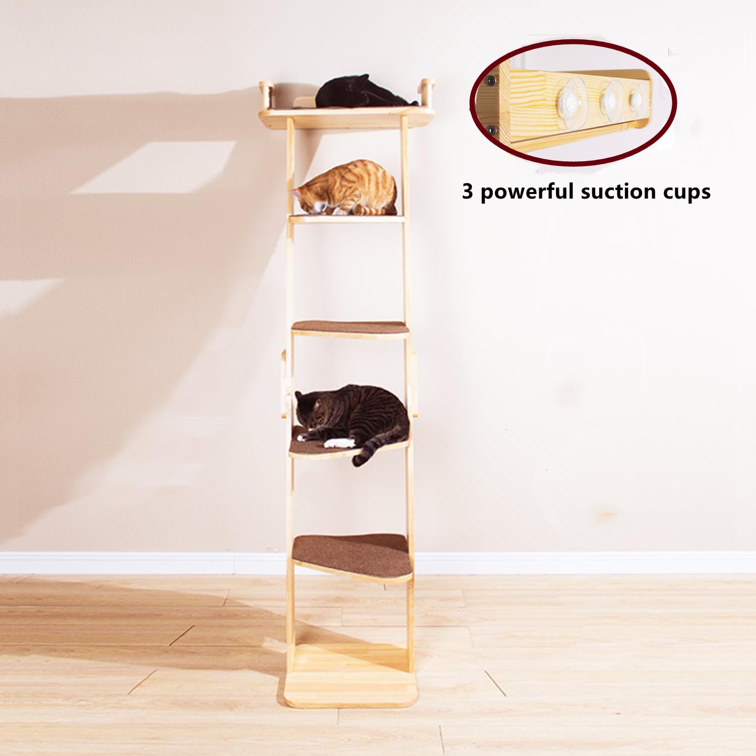 SHENGOCASE torre gatos 5 plataformas en alturas, permiten juego de varios felinos.