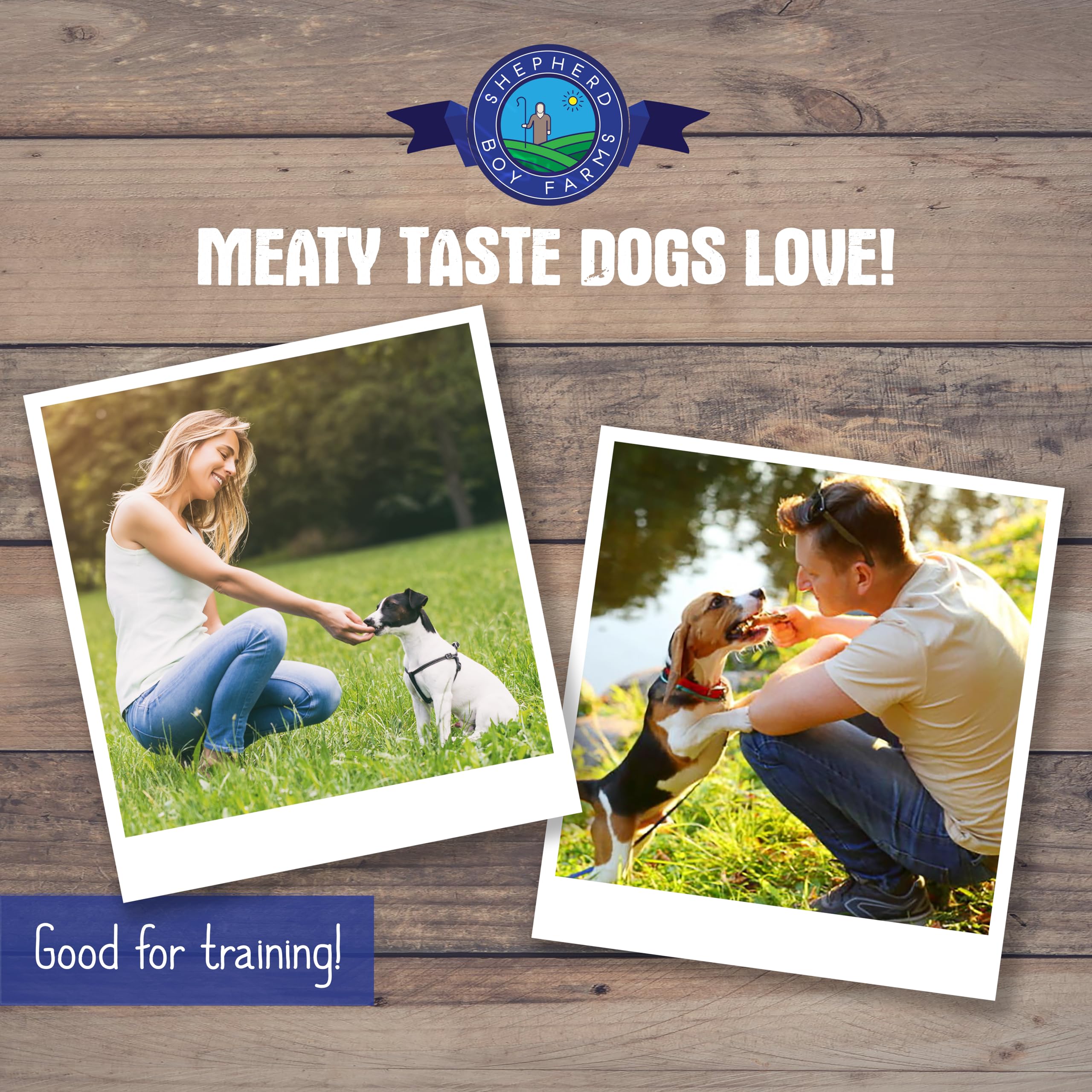 Perro disfrutando premio Shepherd Boy Farms para entrenamiento.