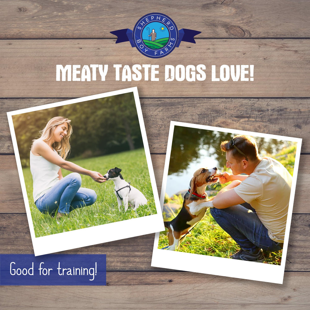 Perro disfrutando premio Shepherd Boy Farms para entrenamiento.