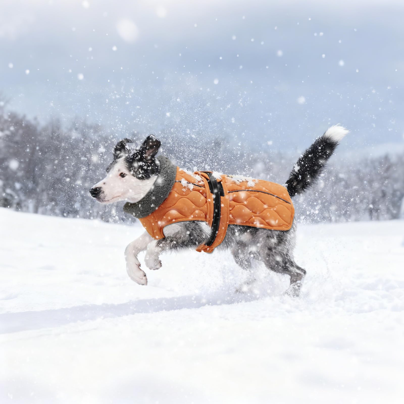 Sheripet chaqueta-invierno-perro, detalle de costuras reforzadas para mayor durabilidad.