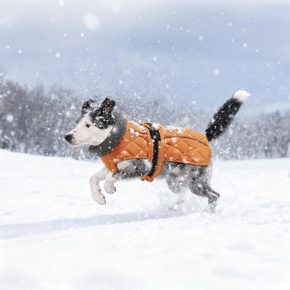 Sheripet chaqueta-invierno-perro, detalle de costuras reforzadas para mayor durabilidad.