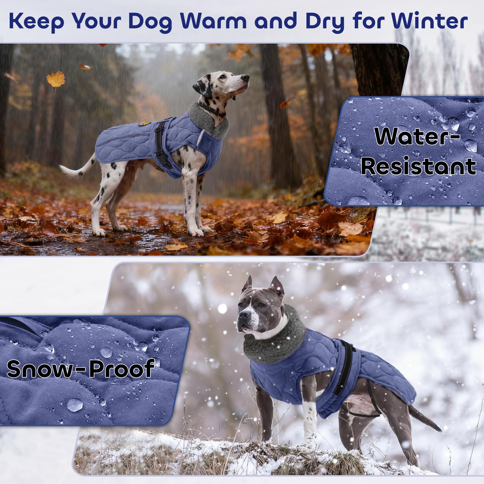 Chaqueta Sheripet resistente al agua y viento para mantener al perro seco.