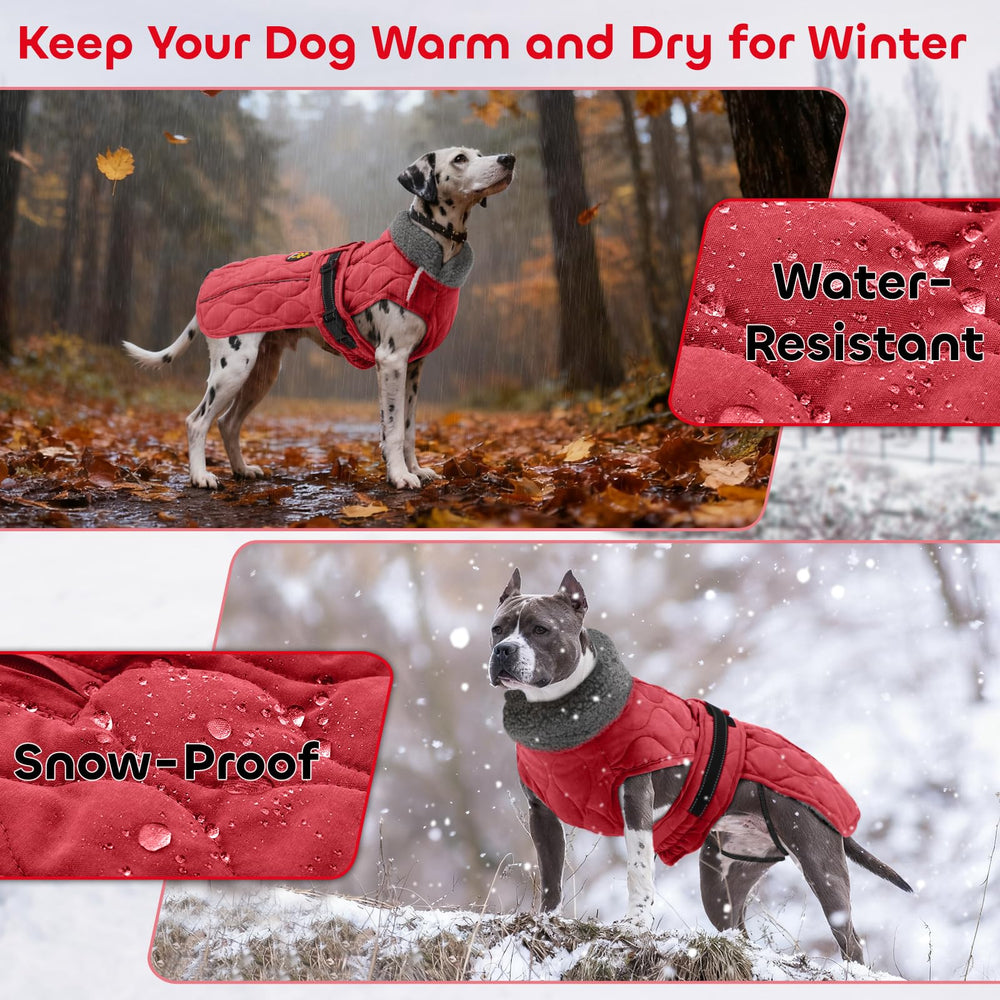 Chaqueta Sheripet para perro resistente al agua y viento para paseos al aire libre.