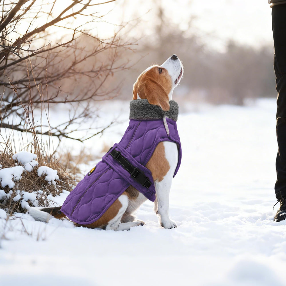 Sheripet diseño práctico para caminatas al aire libre: ideal en climas fríos.