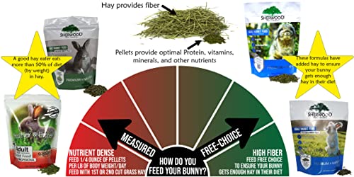 Sherwood Pet Health para conejos activos y felices en casa