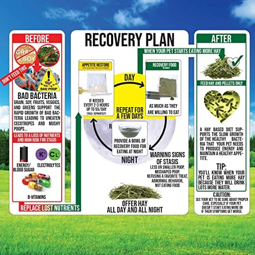 Conjunto de productos de emergencias Sherwood Pet Health para conejos en casa.