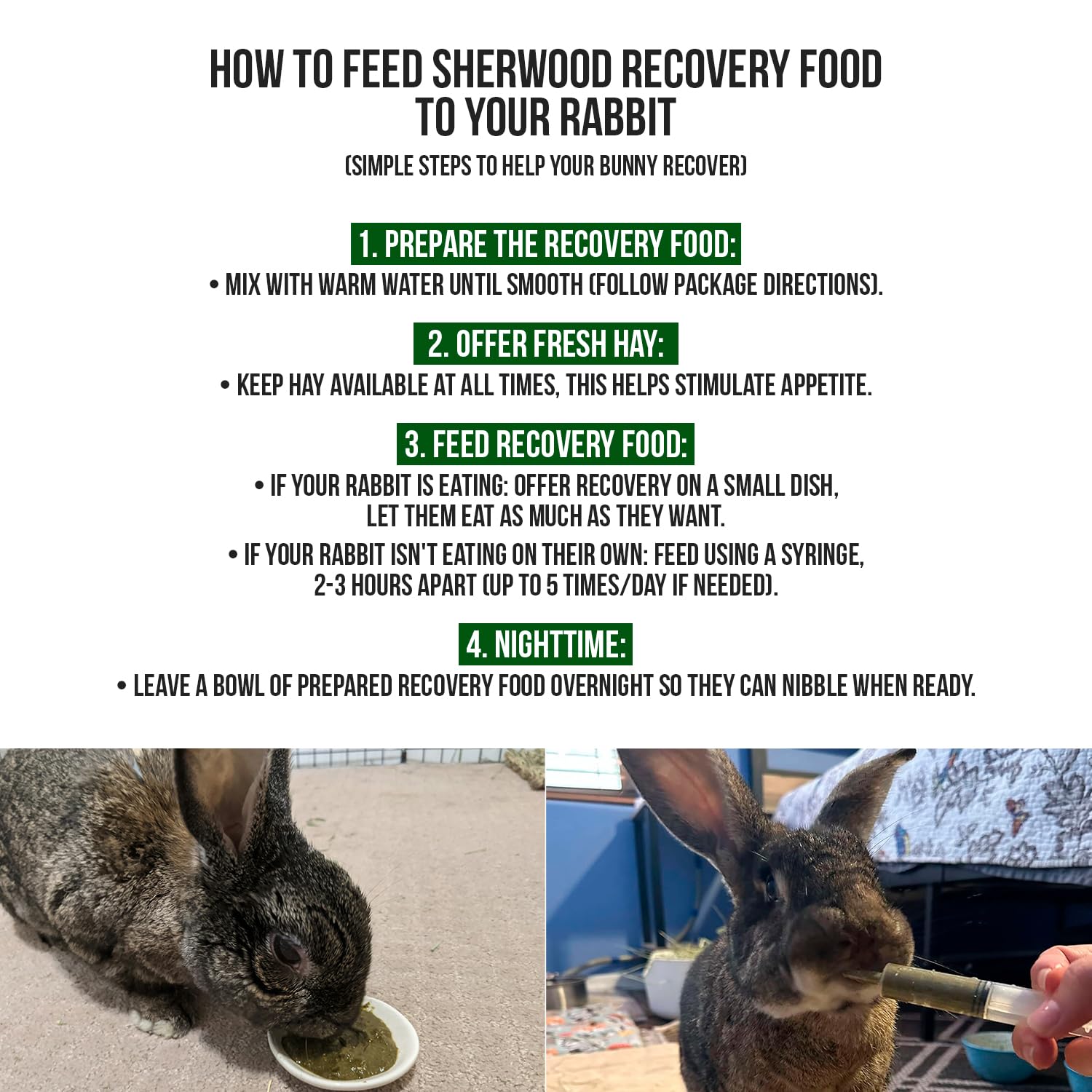 Jeringa de alimentación de Sherwood Pet Health para administración controlada.