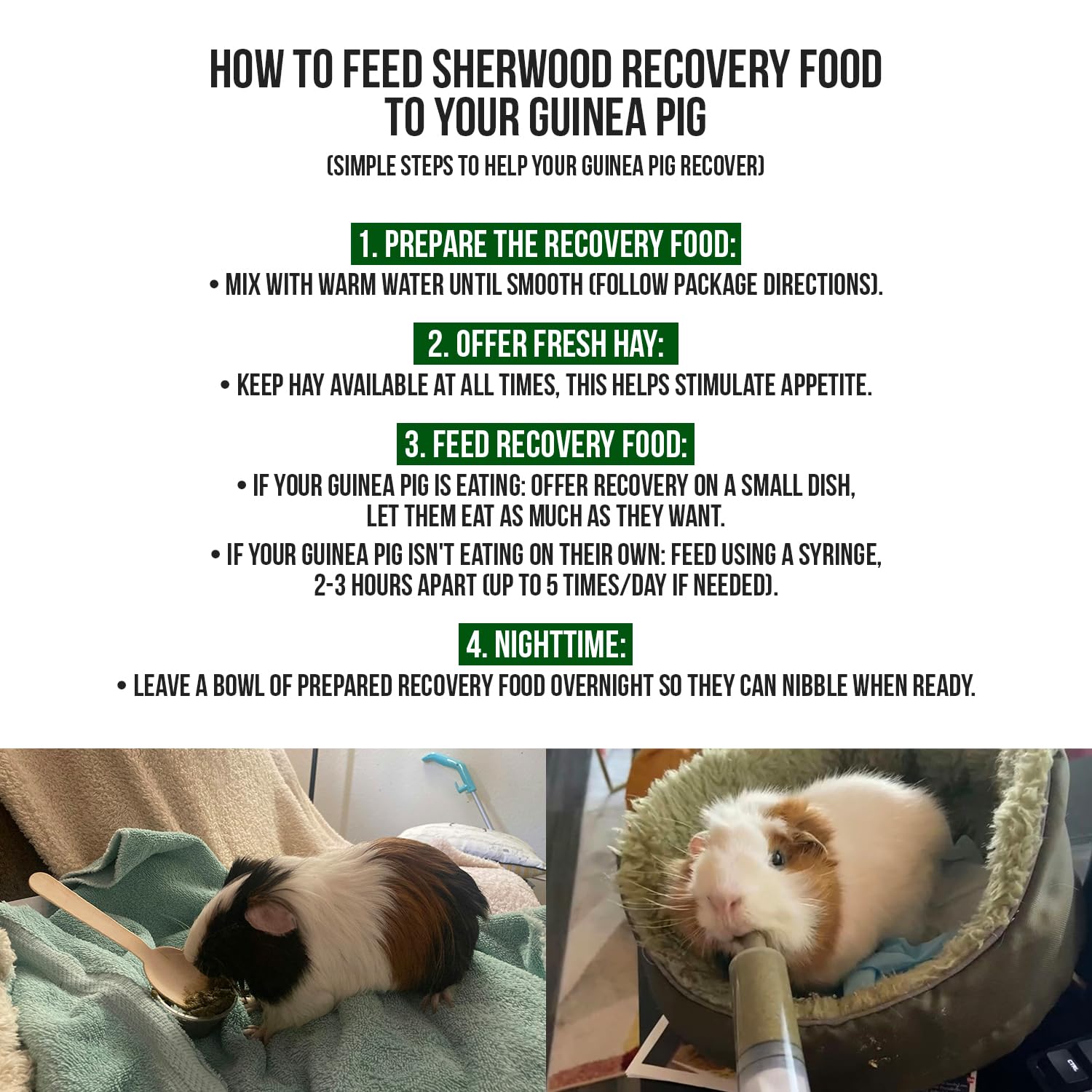 Paquetes de recuperación de 10 g Sherwood Pet Health para cobaya