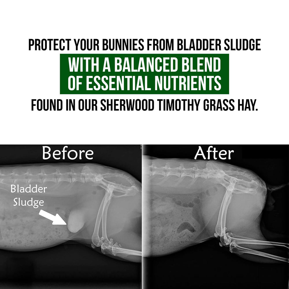 Sherwood Pet Health: opción sin soja para conejos sensibles.
