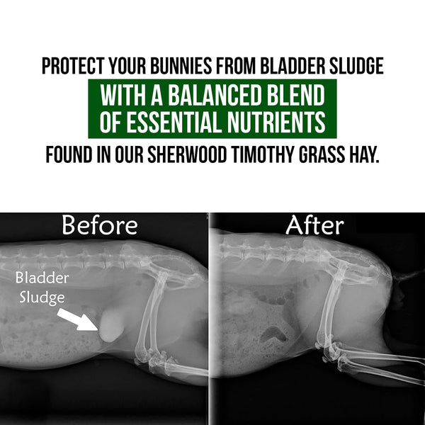 Sherwood Pet Health: opción sin soja para conejos sensibles.