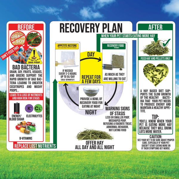 Timothy Recovery Food para cobaya, porciones de 10 g listos para administrar