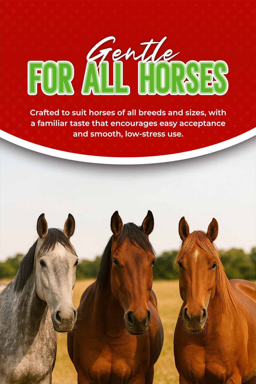 SHEVAT VITAMINS tubo 6.08 g para uso en caballos