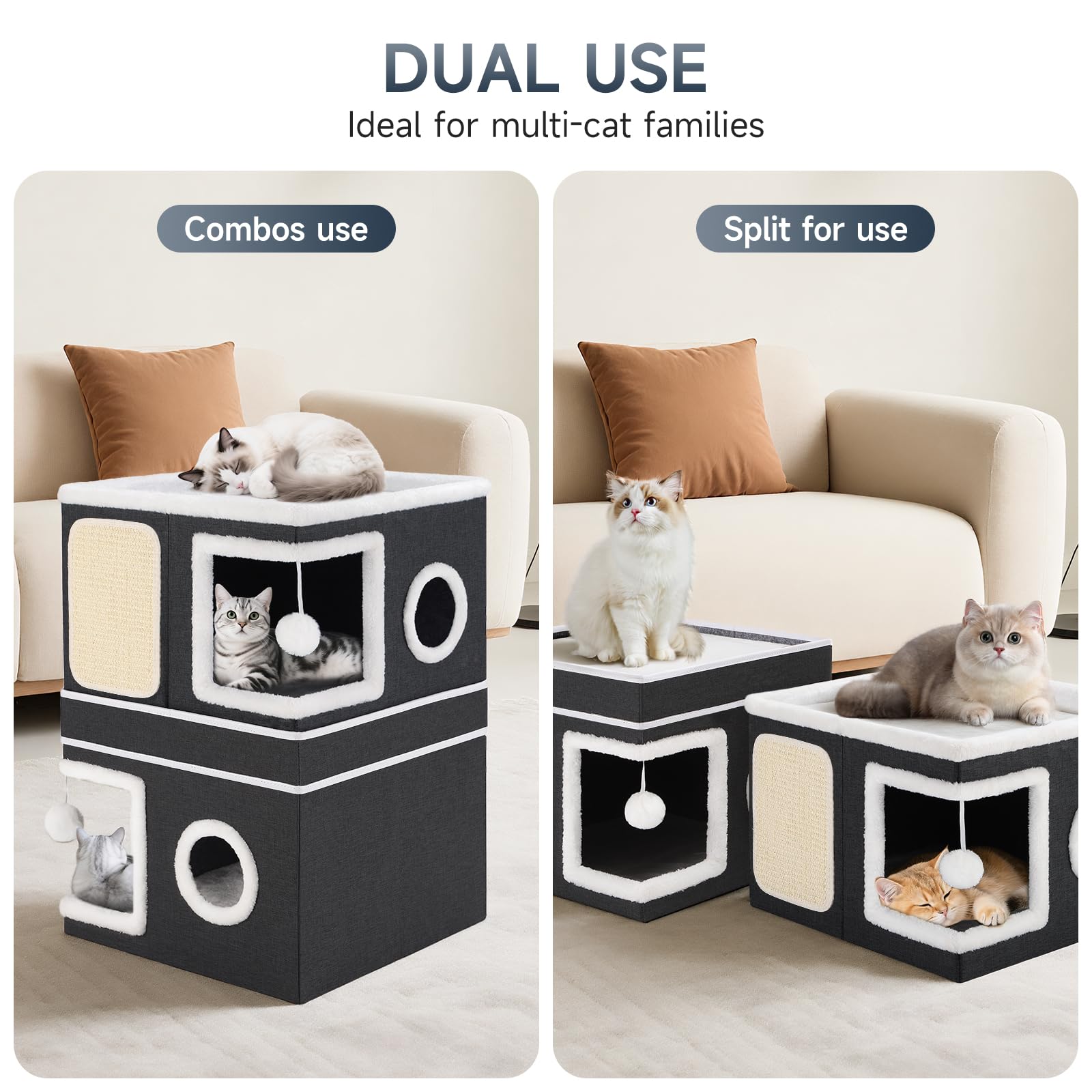 Shikha condos-gatos-ocultos-espacio, refugio privado para múltiples felinos.