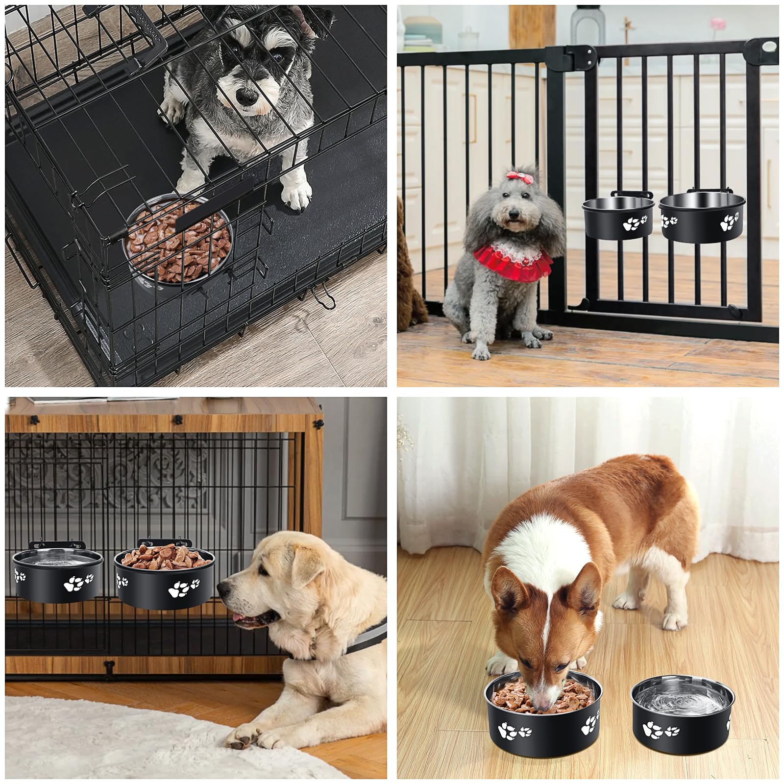 ShineMe uso en suelo como bol normal para perros, gatos y aves.
