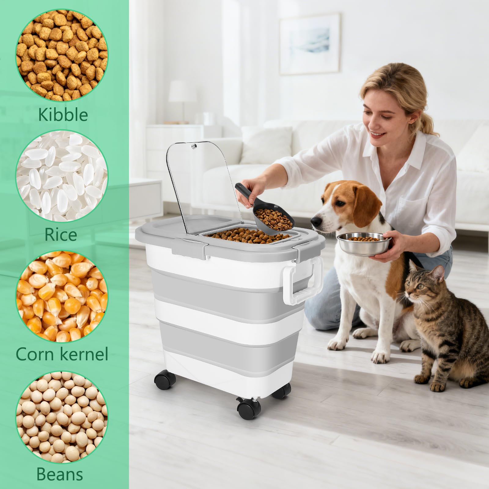 ShineMe contenedor versátil para snacks, arroz, harina y otros secos