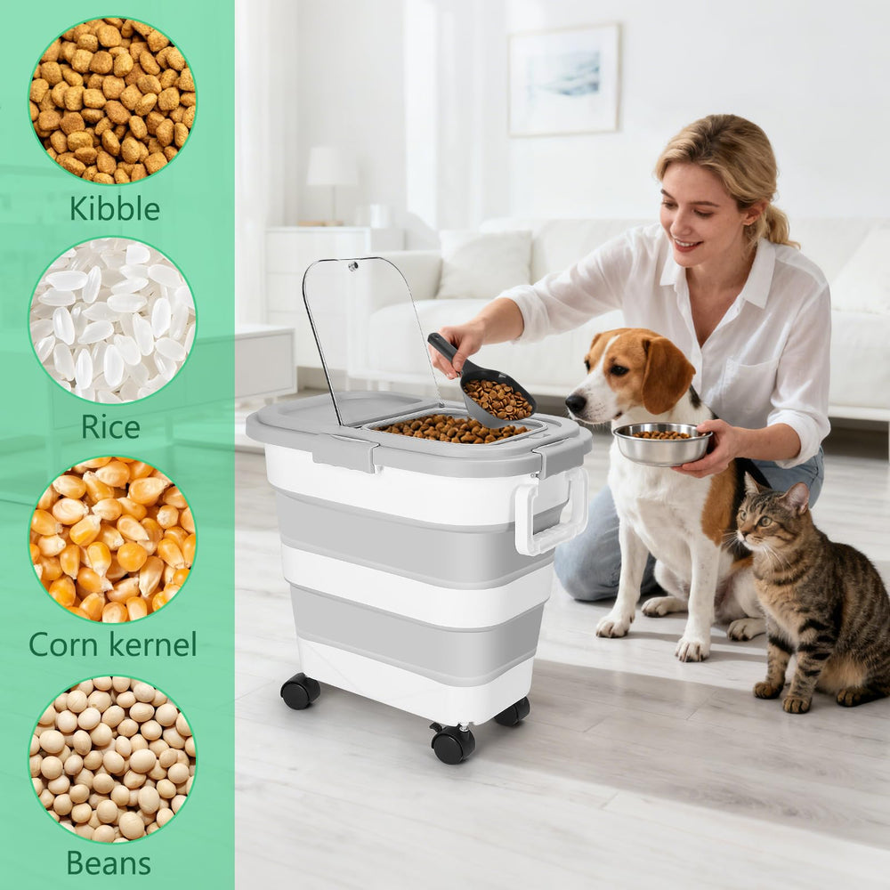 ShineMe contenedor versátil para snacks, arroz, harina y otros secos