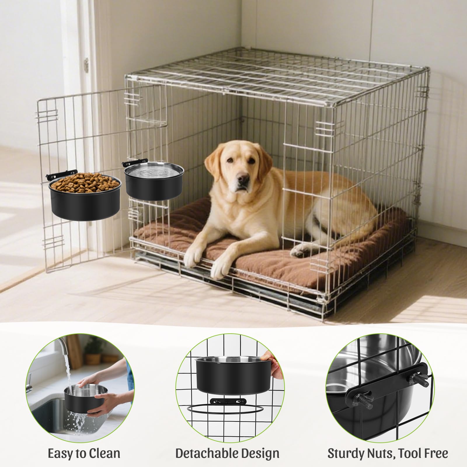 ShineMe dos-tamanos-para-perros-gatos: doble uso práctico.