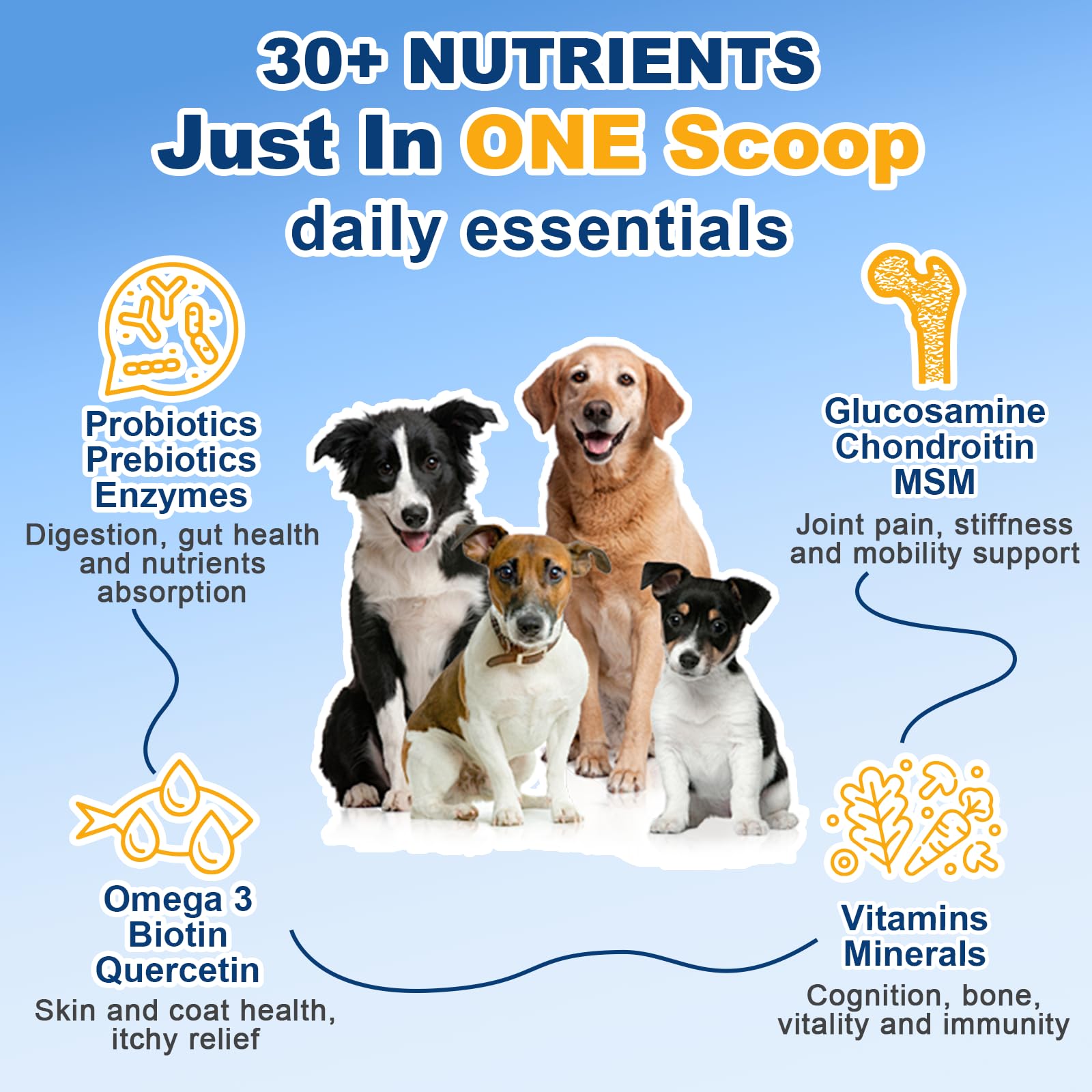 SHINEPAWS glucosamina: soporte para articulaciones y movilidad en perros.