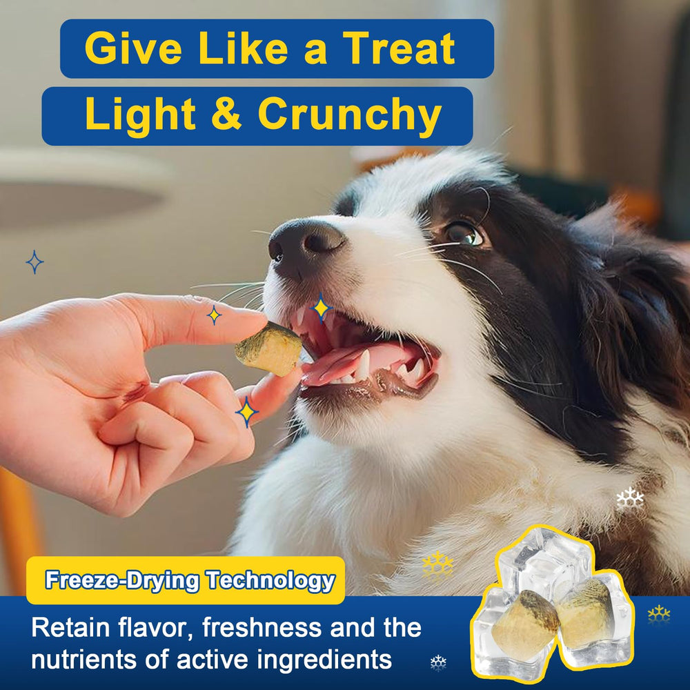 SHINEPAWS sin granos para dieta suave durante alergias estacionales.