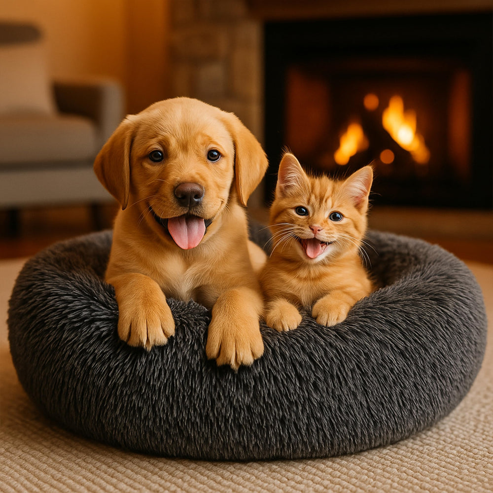 SHINY-V cama suave ideal para perros y gatos, incluso gatitos.
