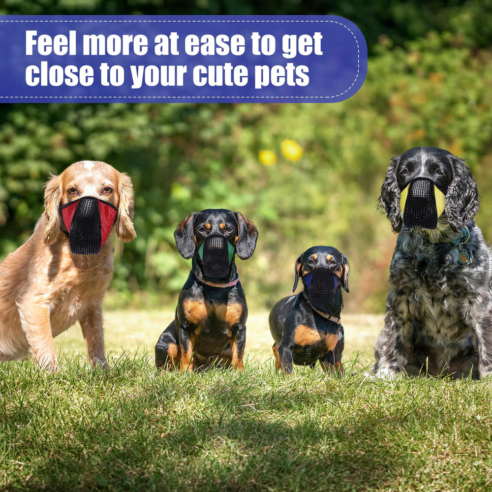 Uso al aire libre y entrenamiento con Shinylin para control práctico.