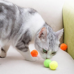 Shizhoo gatito jugando con bola pom pom, perfecto para coordinación