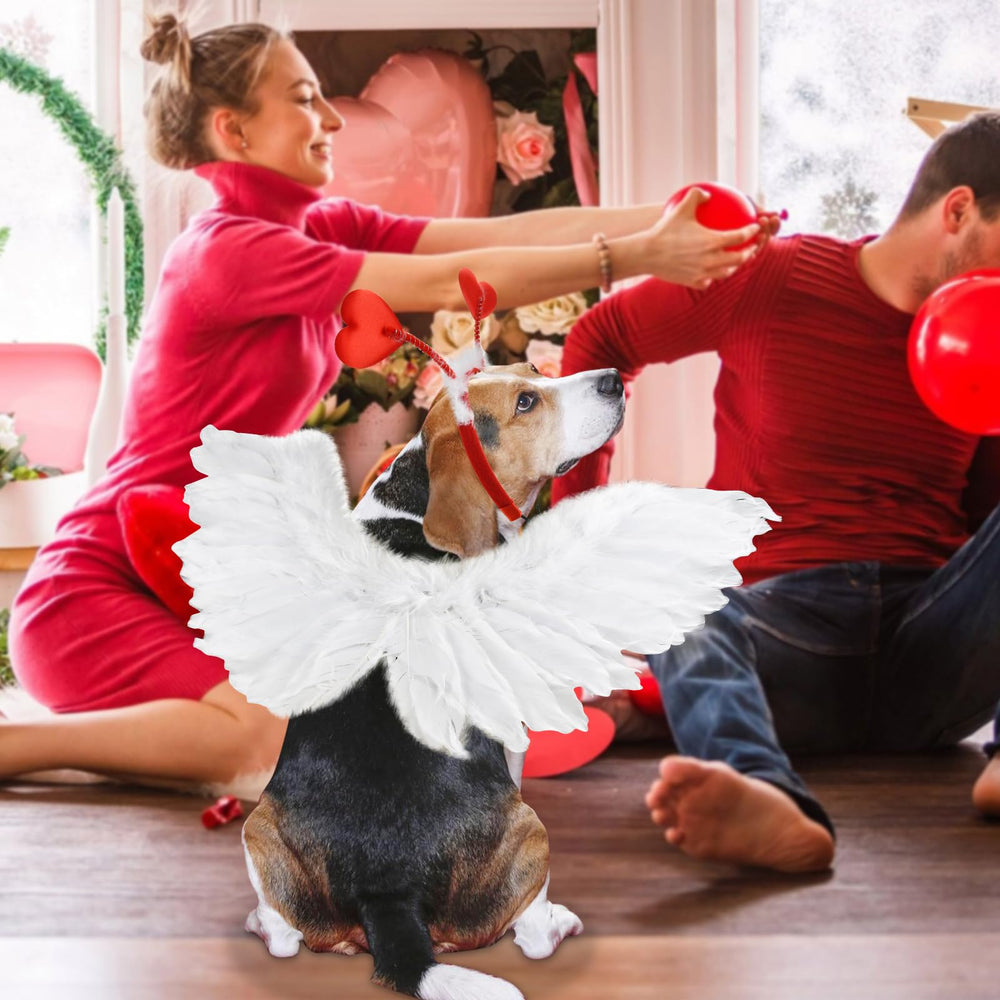 Alas de pluma blancas ShuRung para perro, suave y cómodo durante paseos.