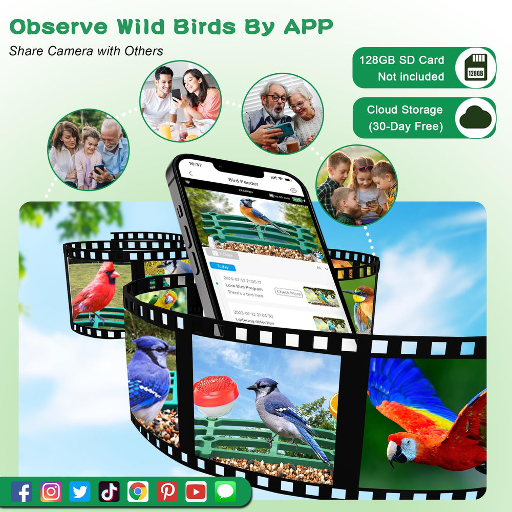 Shufield accesorios-diy-aves-verde: opciones para atraer especies y personalizar
