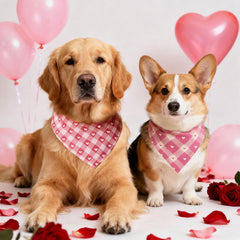 Bandana de Shyyween para sesión de fotos de San Valentín para perros, añade encanto