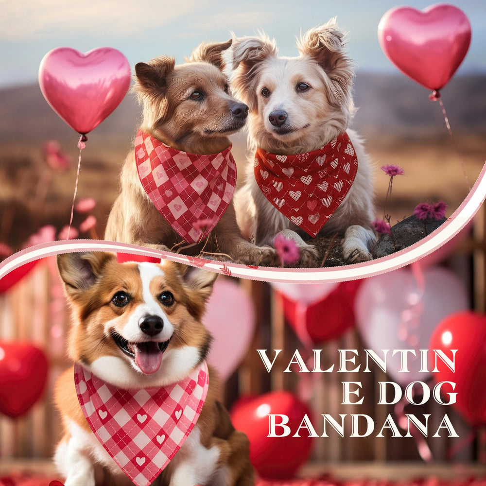 Conjunto Shyyween de 100 bandanas para perros en diseño San Valentín, perfecto para múltiples mascotas