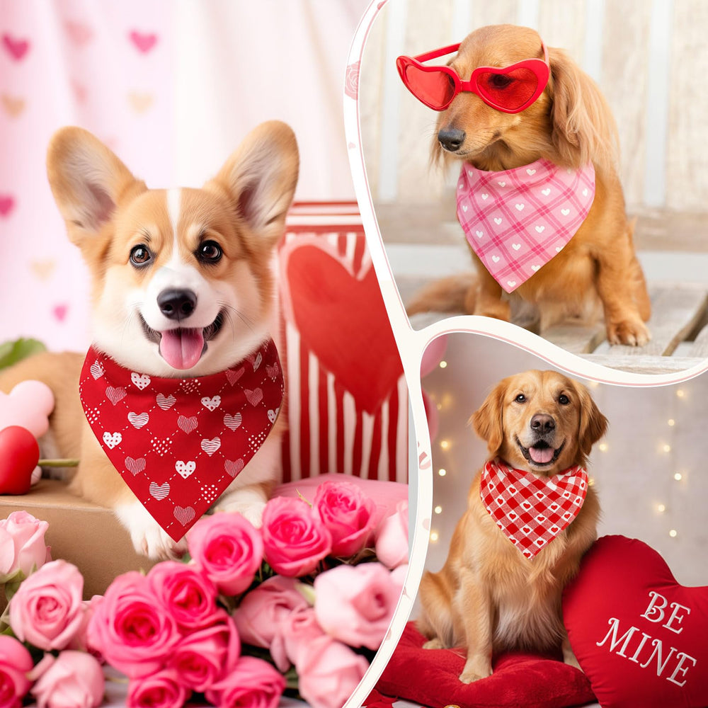 Bandanas al por mayor de Shyyween para perros, ideal para compartir o regalar