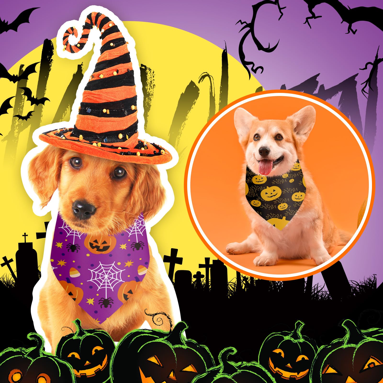 Shyyween murcielago panuelo para perros, ideal para fotos nocturnas.