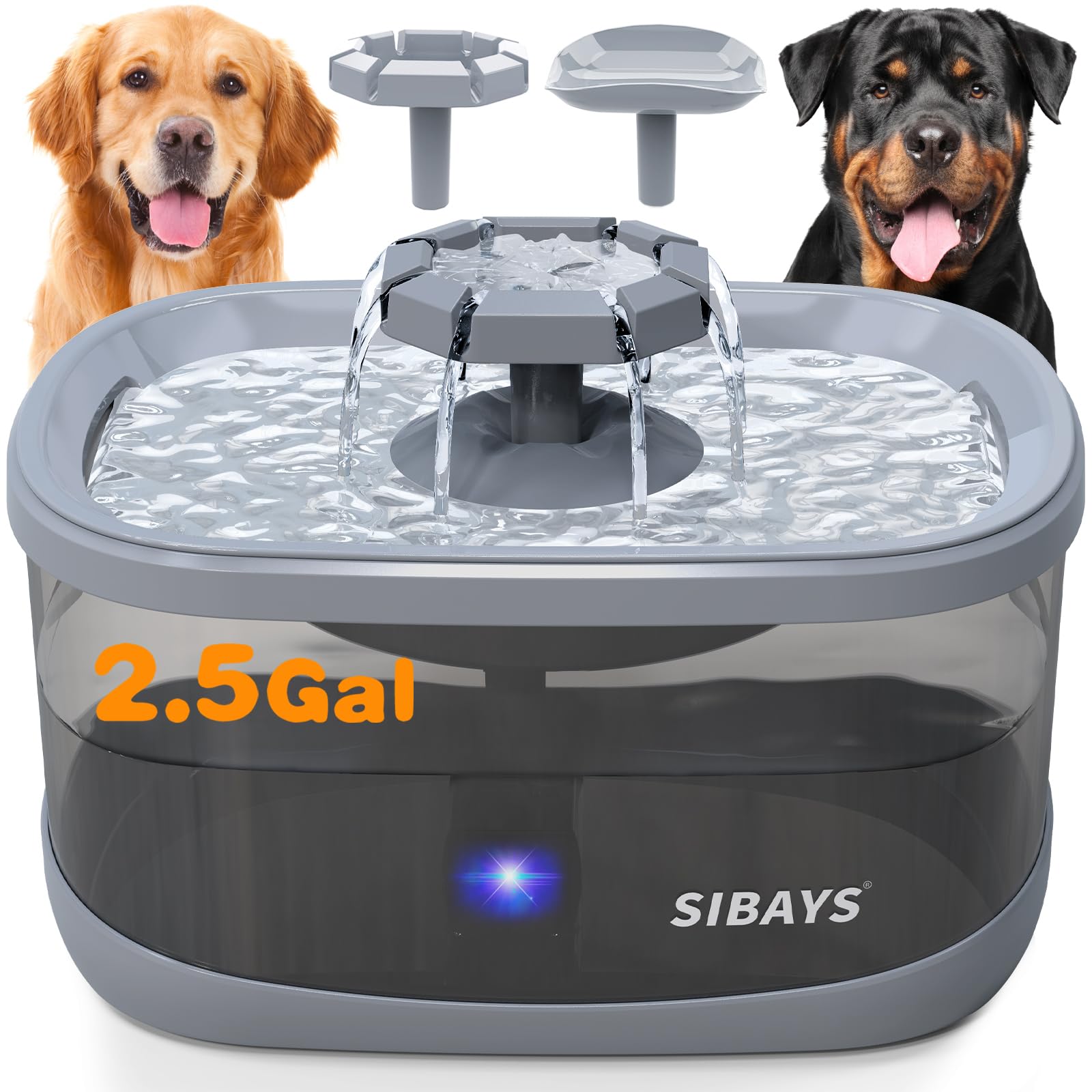 Bebedero SIBAYS para perros grandes con filtro de 7 pulgadas, agua fresca.