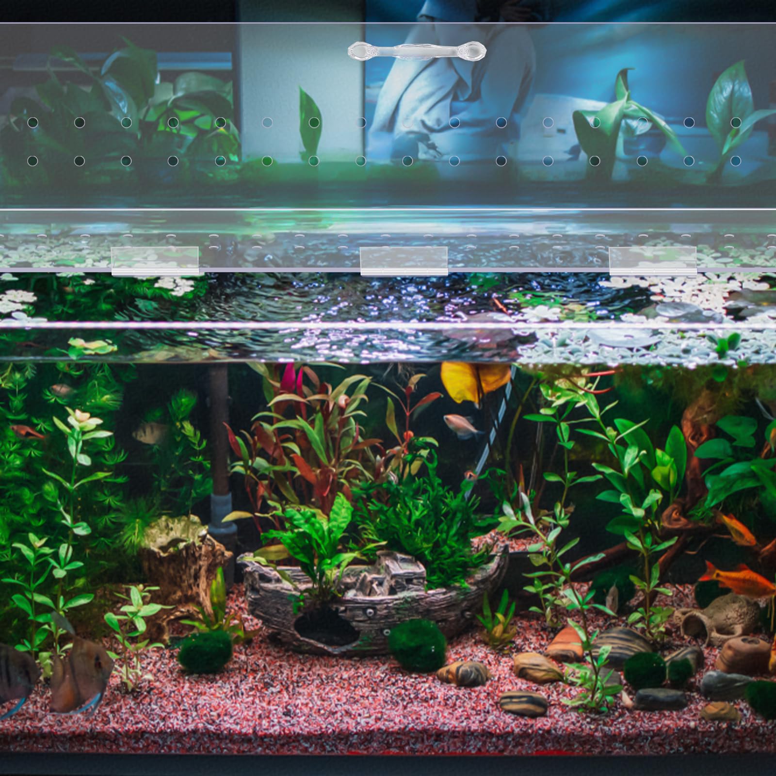 Sieral capot acuario diseño fácil de cortar para personalizar